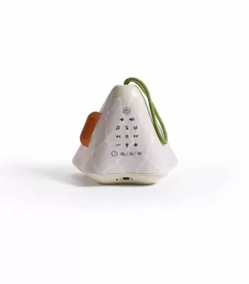 Tiny Love Boho Chic Tiny Dreamer